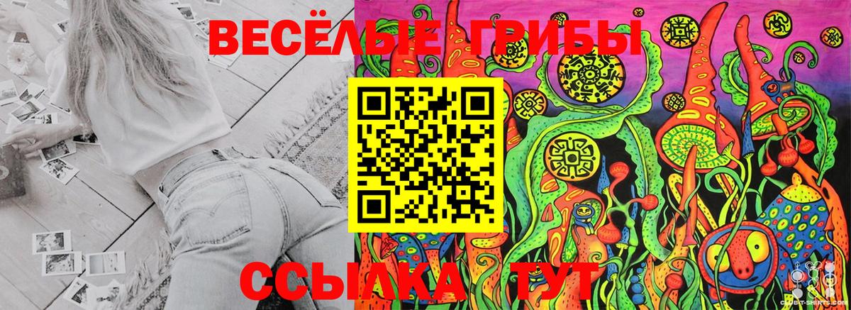 Кизилюрт  Галлюциногенные грибы Magic Shrooms  Галлюциногенные грибы Psilocybe  Вход с VPN 