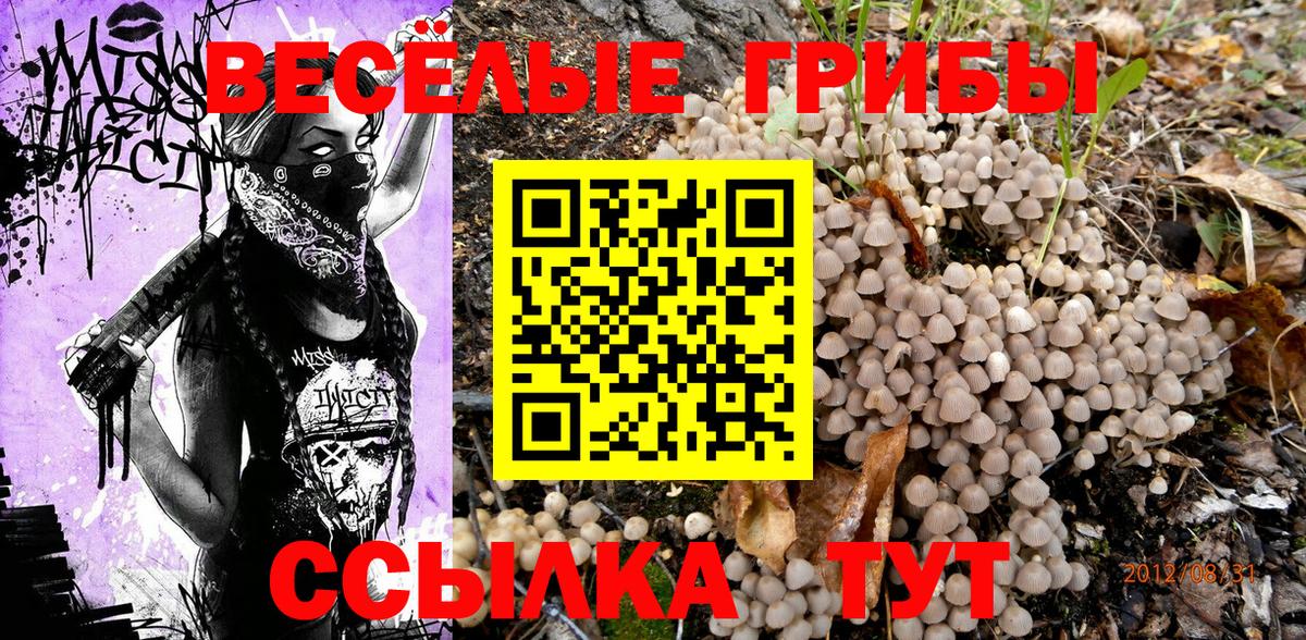 Галлюциногенные грибы Cubensis Кизилюрт